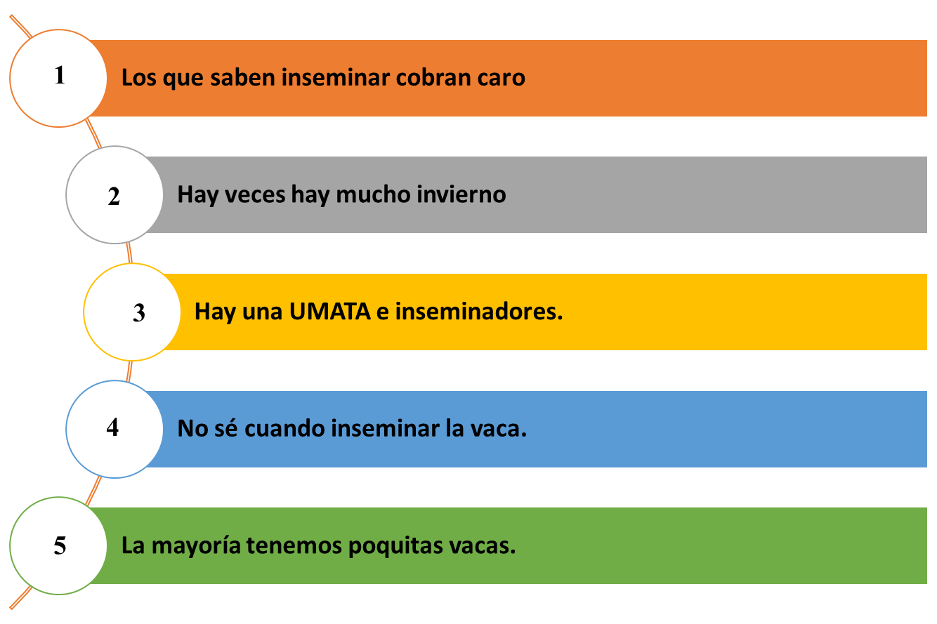 Interfaz de usuario gráfica, Aplicación

Descripción generada automáticamente