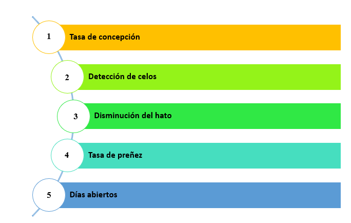 Imagen que contiene Escala de tiempo

Descripción generada automáticamente
