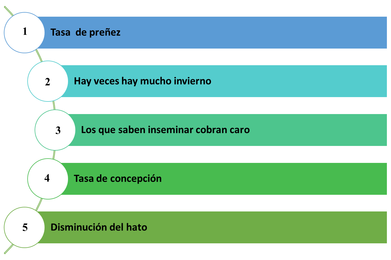 Aplicación

Descripción generada automáticamente con confianza media